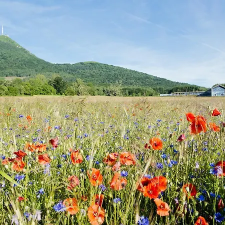 Privilodges Carre De Jaude