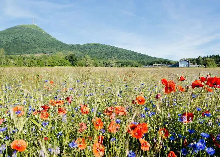 普利罗吉斯卡雷德宫殿公寓酒店